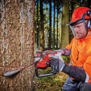 DRUJBA EINHELL FĂRĂ FIR – PROMOȚIE DE ÎNCHIDERE A MAGAZINULUI – LIVRARE GRATUITĂ ÎN 24H